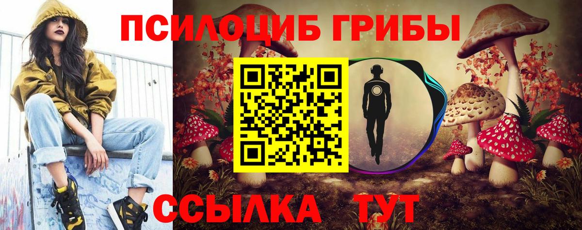 где можно купить наркотик  Псилоцибиновые грибы Cubensis  Галлюциногенные грибы GOLDEN TEACHER  Вход с VPN  Знаменск 