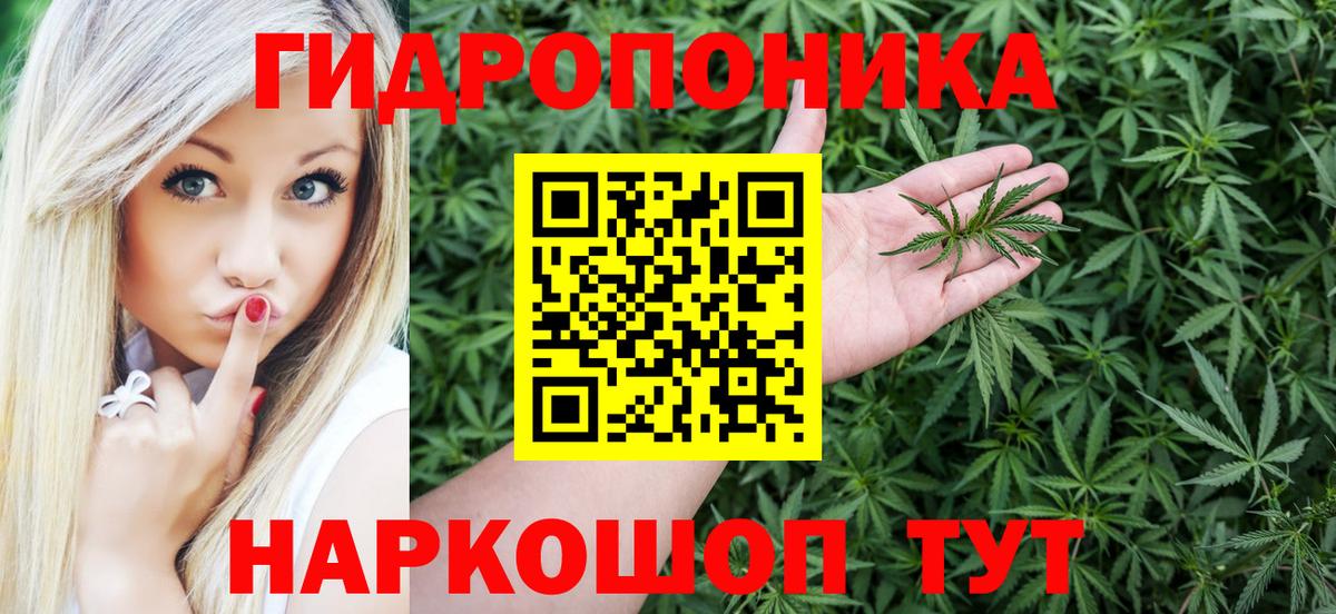 Каннабис сатива  Канабис гибрид  Вход с VPN  Знаменск  Шишки марихуана планчик 